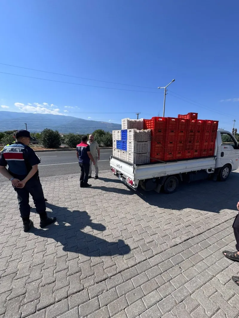 AYDIN VALİLİĞİ İNCİR DENETİMLERİNİ SÜRDÜRÜYOR