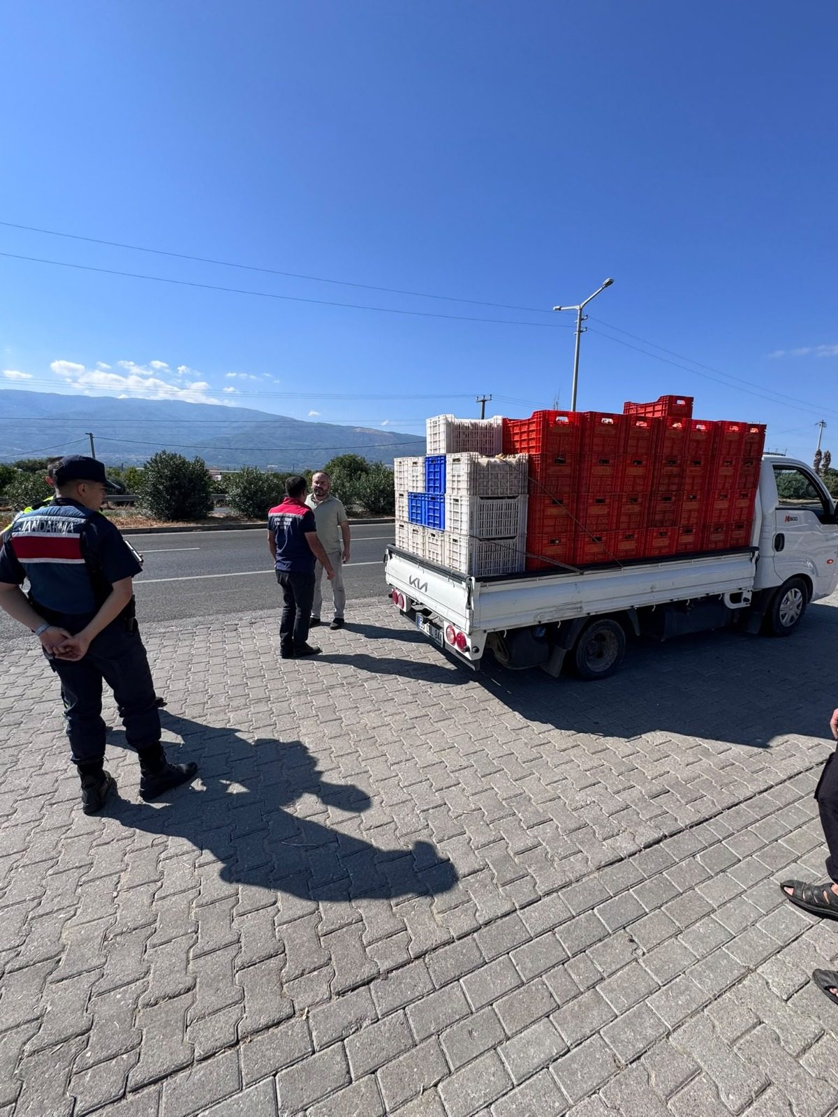 AYDIN VALİLİĞİ İNCİR DENETİMLERİNİ SÜRDÜRÜYOR