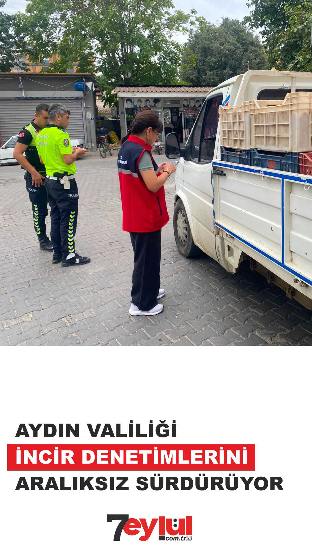 İNCİR DENETİMİ SÜRÜYOR