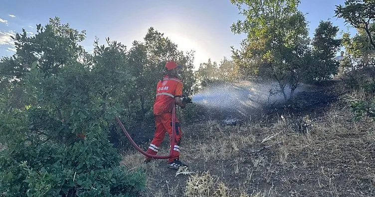 Bingöl'deki orman yangını kontrol altında
