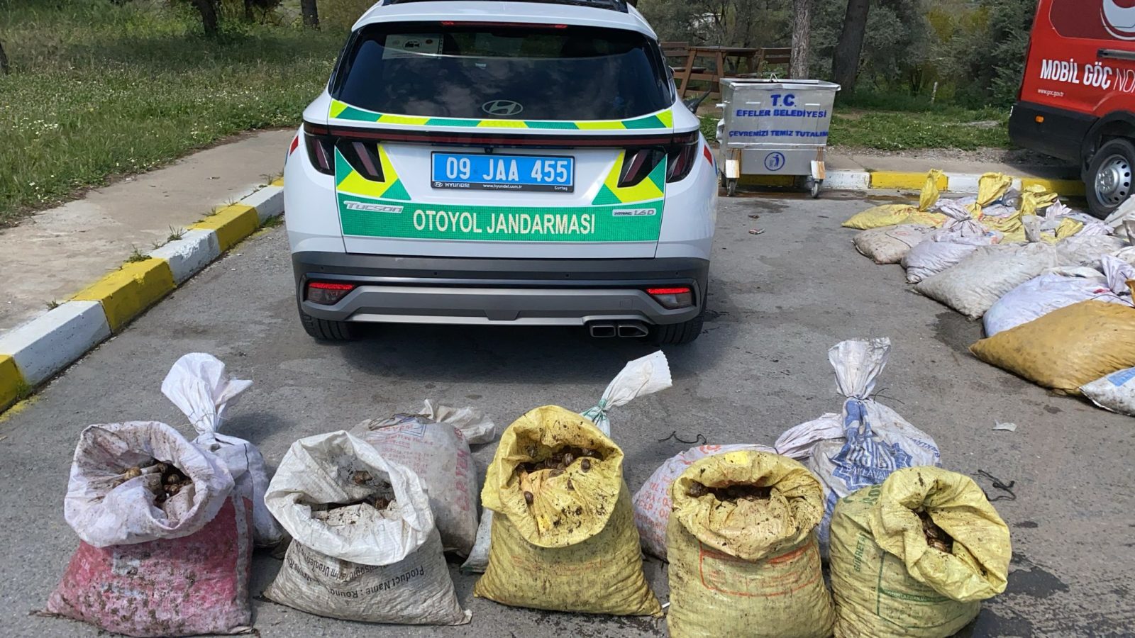Aydın'da Kaçak Salyangoz Operasyonu: 1.800 Kilogram Ele Geçirildi