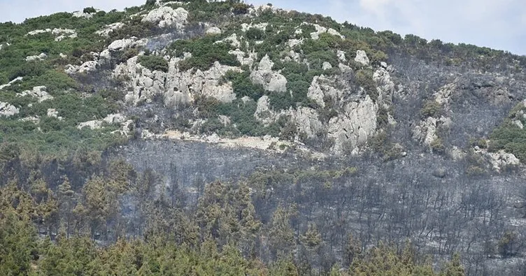Manisa Saruhanlı'da orman yangını! Havadan ve karadan müdahale ediliyor