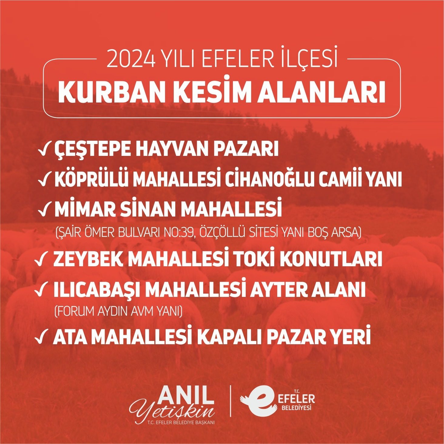 EFELER’DE KURBAN KESİM NOKTALARI BELİRLENDİ