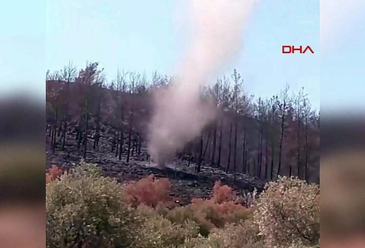Hatay'da geçen ay yanan ormanda hortum çıktı