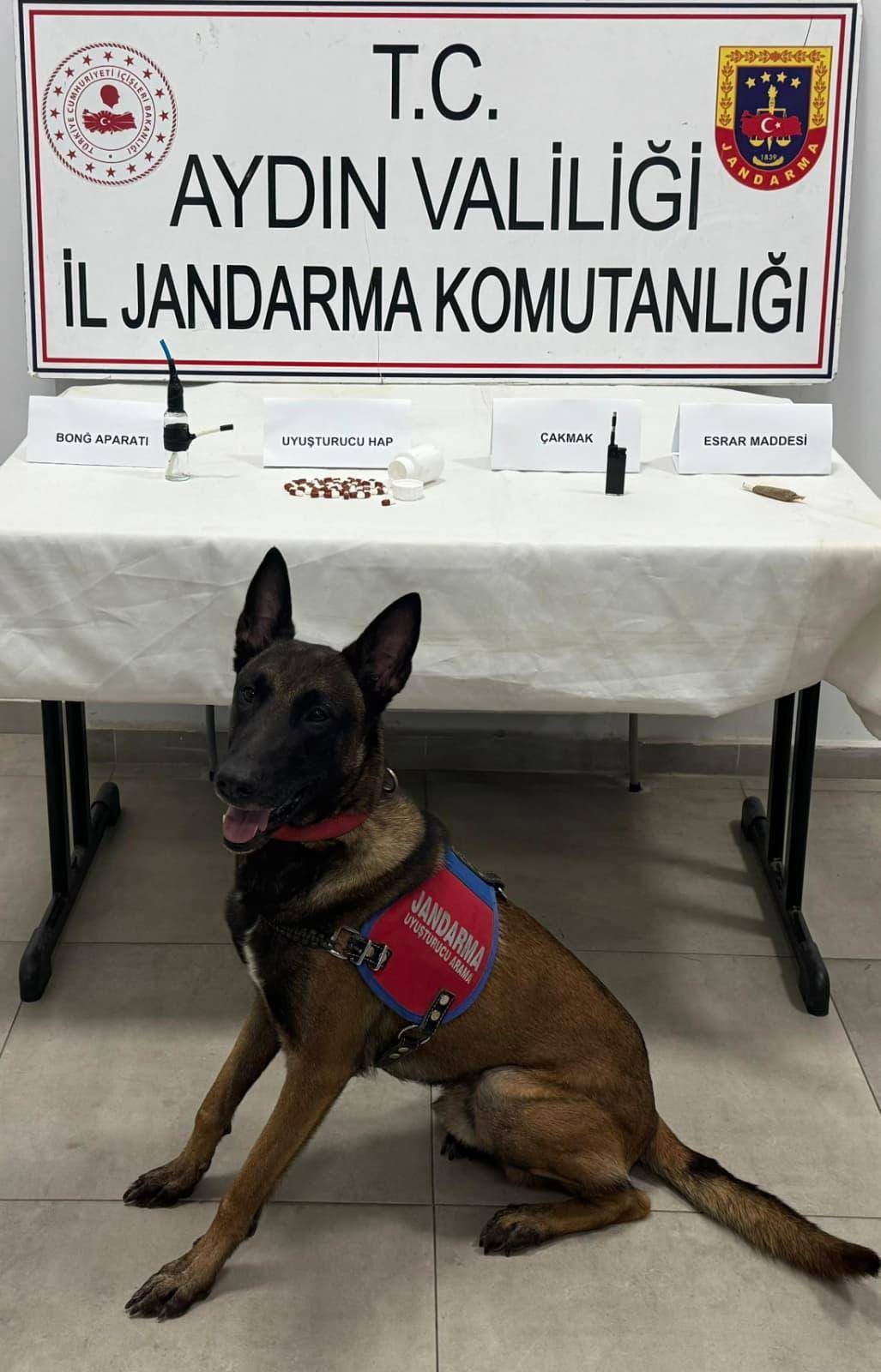 Aydın'da Otoyolda Uyuşturucu Operasyonu: İki Şüpheli Yakalandı