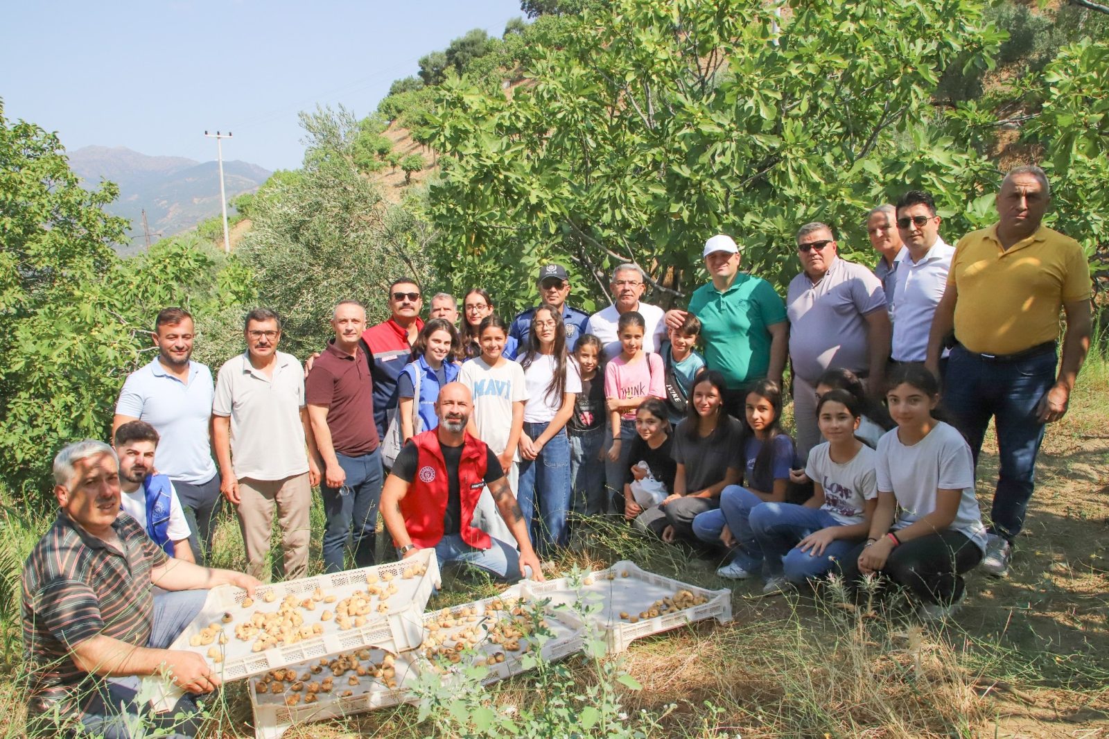 Köşk’te Gönüllü Hasat Etkinliği Düzenlendi