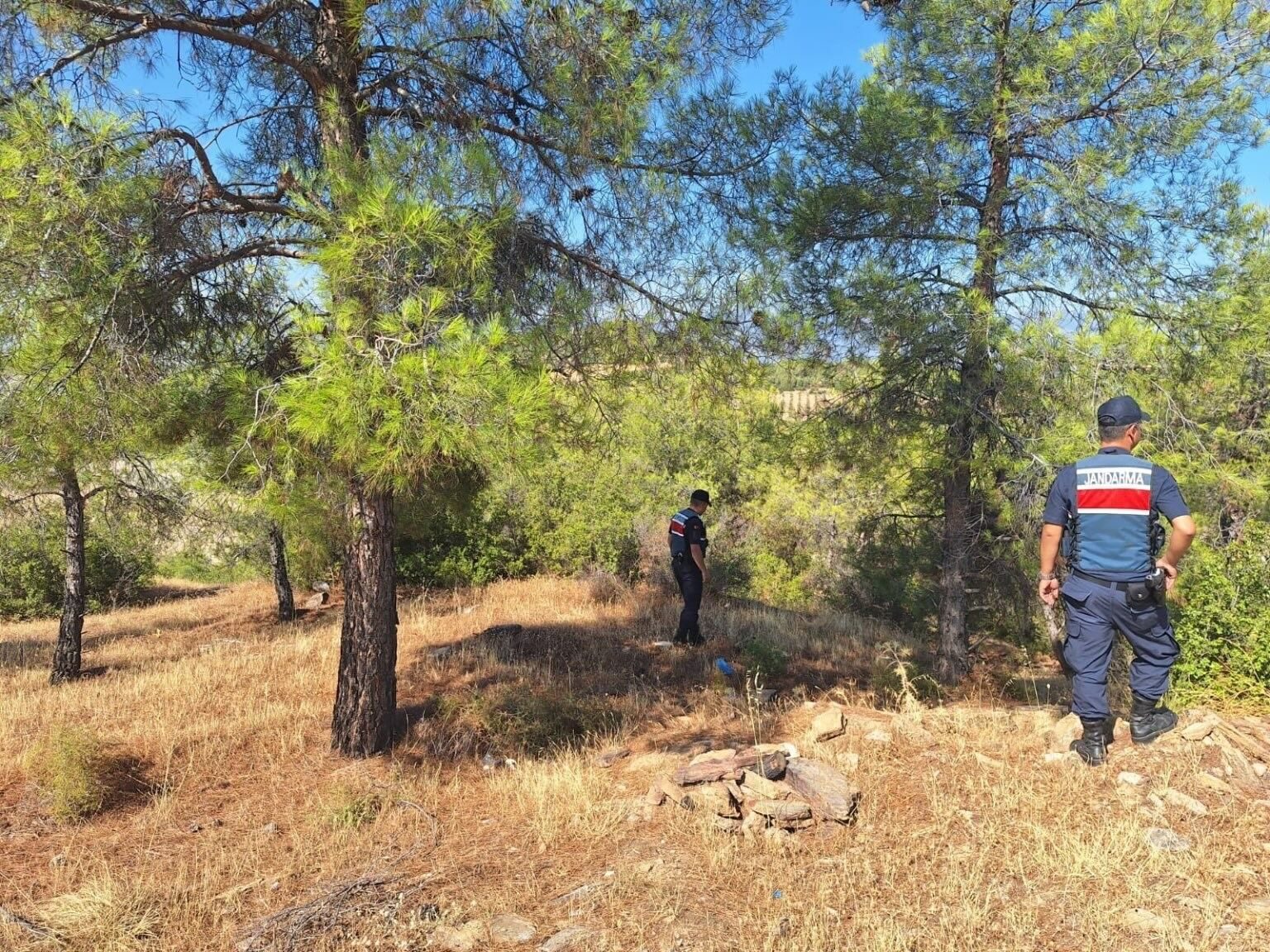 Ormanlara Giren Ve Ates Yakanlara Ceza Yagdi D3E8E7328B64Ef51146Eb64F822C2720