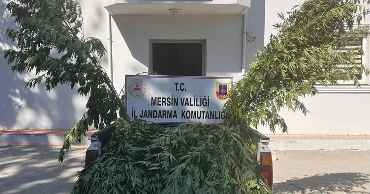 Mersin'de uyuşturucu operasyonunda 8 şüpheli gözaltına alındı