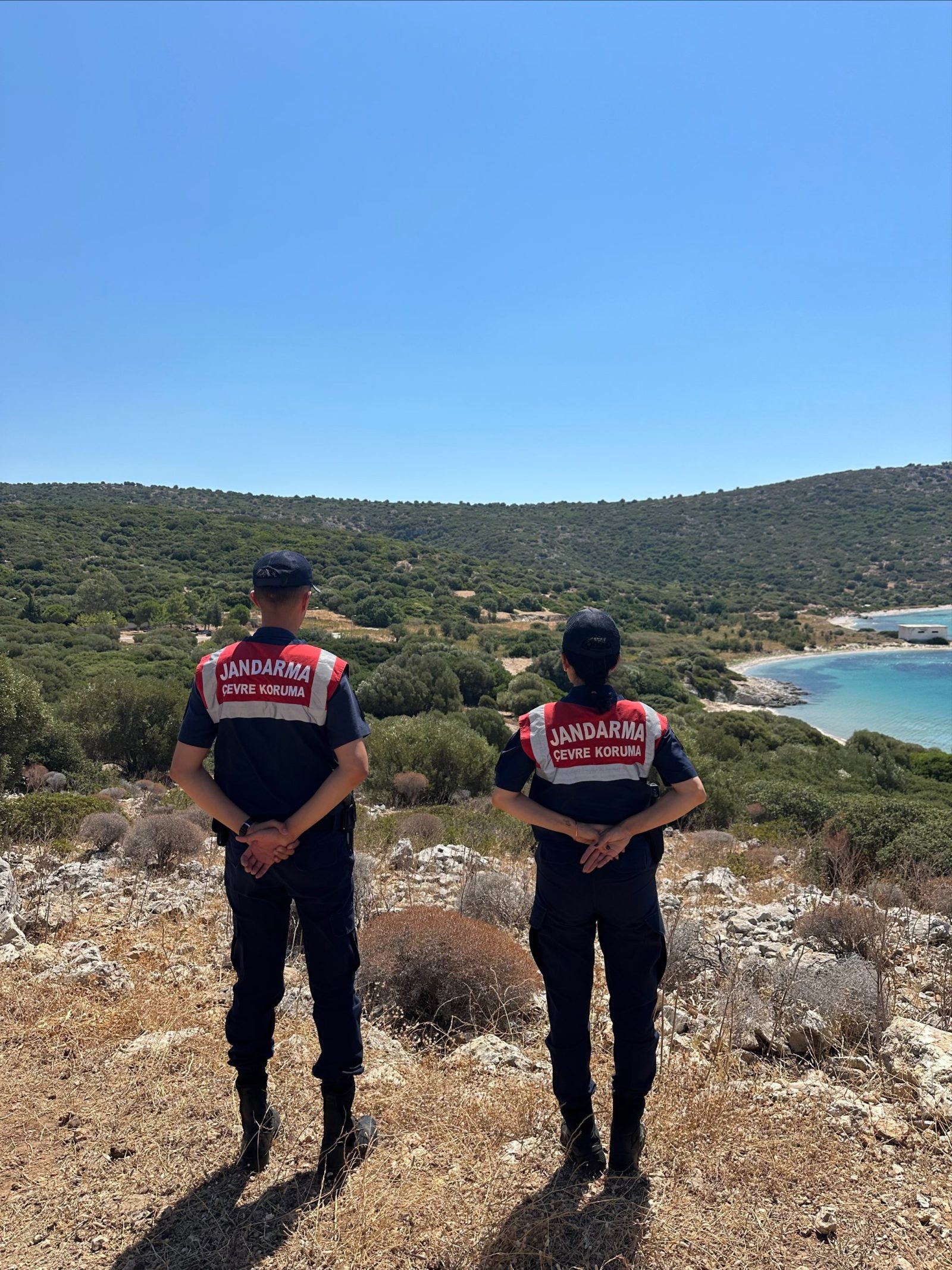 Aydın Jandarma ekiplerinden Milli Park'ta 'Koruma Kalkanı' Operasyonu