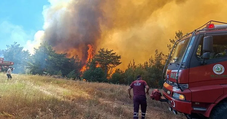 Sakarya Taraklı'da orman yangını! 2 mahalle tahliye edildi: Arazöz alevlere teslim oldu!