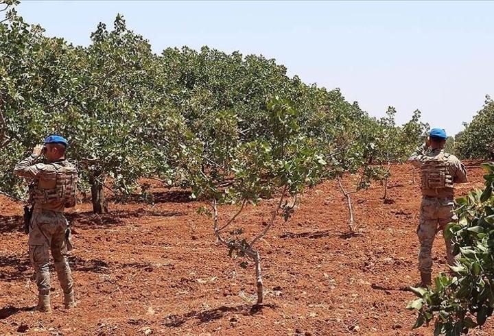 Gaziantep'te jandarma "Antep fıstığı" nöbetinde