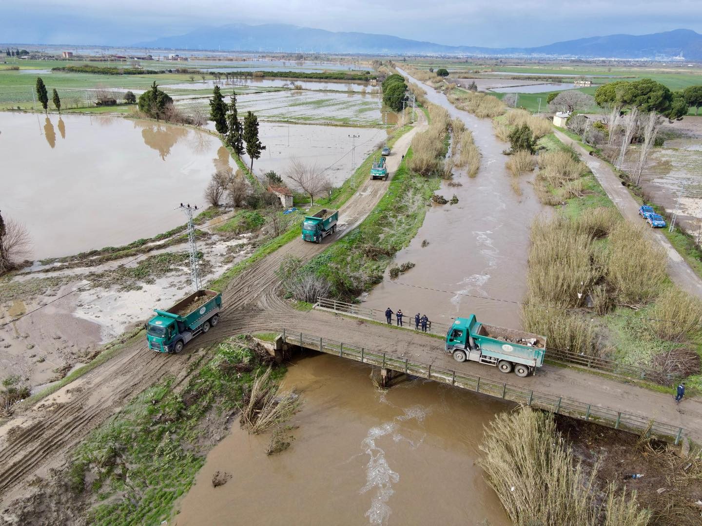 Aydın'da Büyük Menderes Nehri Taştı: DSİ’den Uyarı