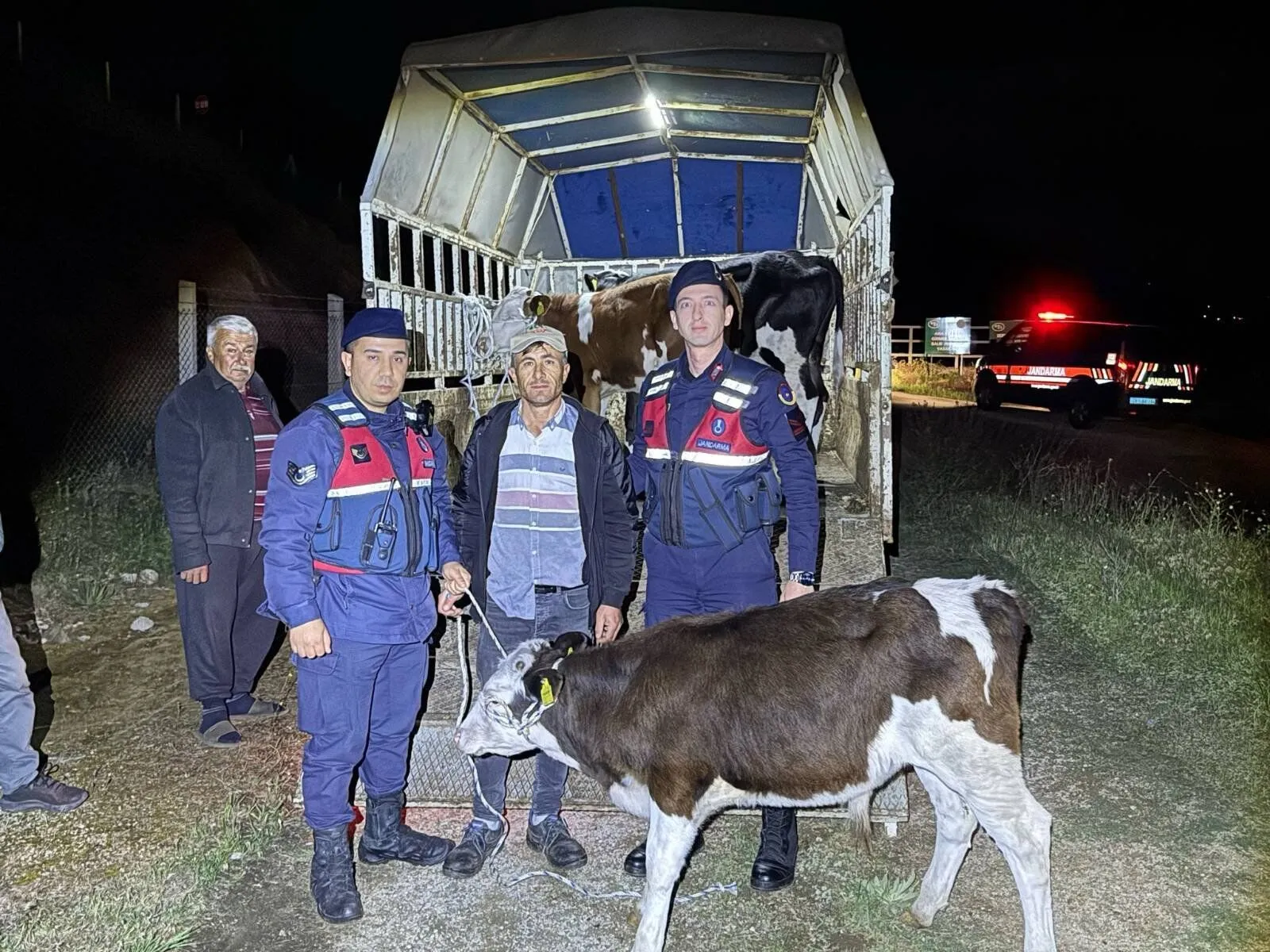 Aydın'da 3 kayıp hayvan bulundu